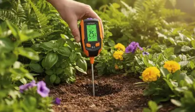 Bodentemperatur messen: Gartenerfolg sichern