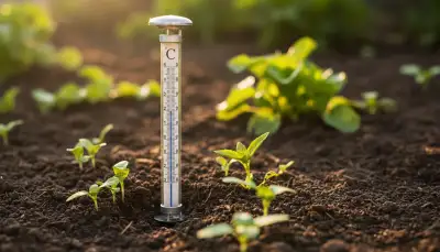 Gartenthermometer: Unverzichtbar für Hobbygärtner