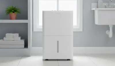 Trockene Luft, gesundes Klima: Der elektrische 30L Luftentfeuchter als Must-have gegen Feuchtigkeit