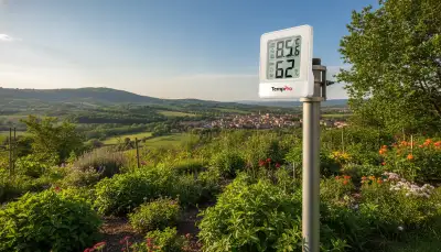 Wetterstation Masthalterungen: Der richtige Halt
